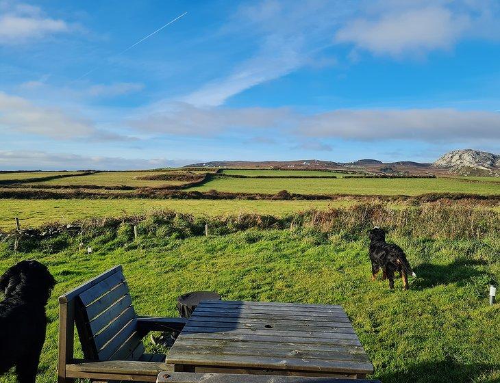Penrhos Feilw, Wales - Image 6