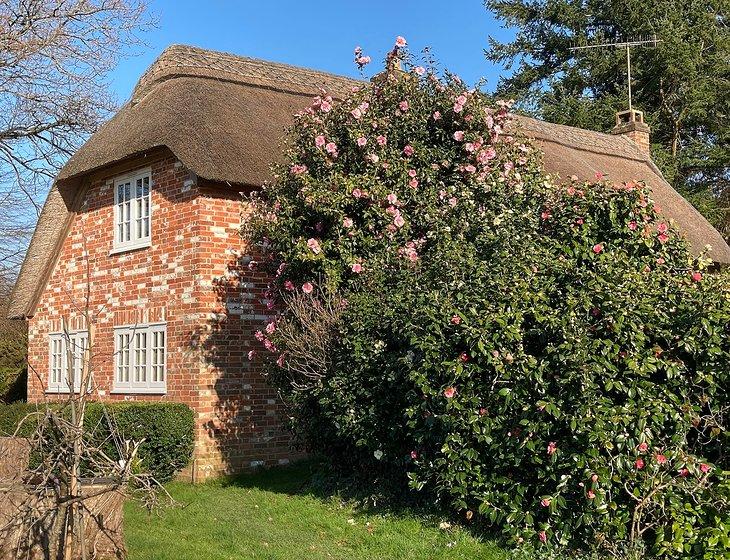 Fordingbridge, South West England - Image 7