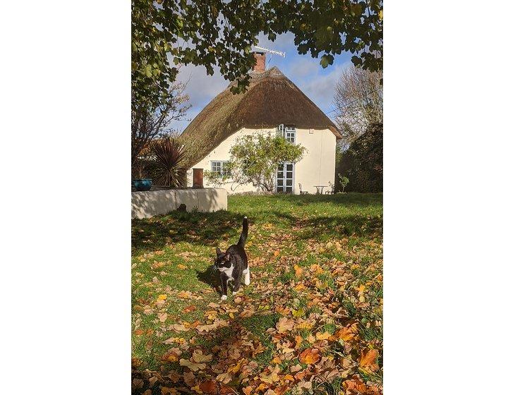 Old Cleeve, South West England