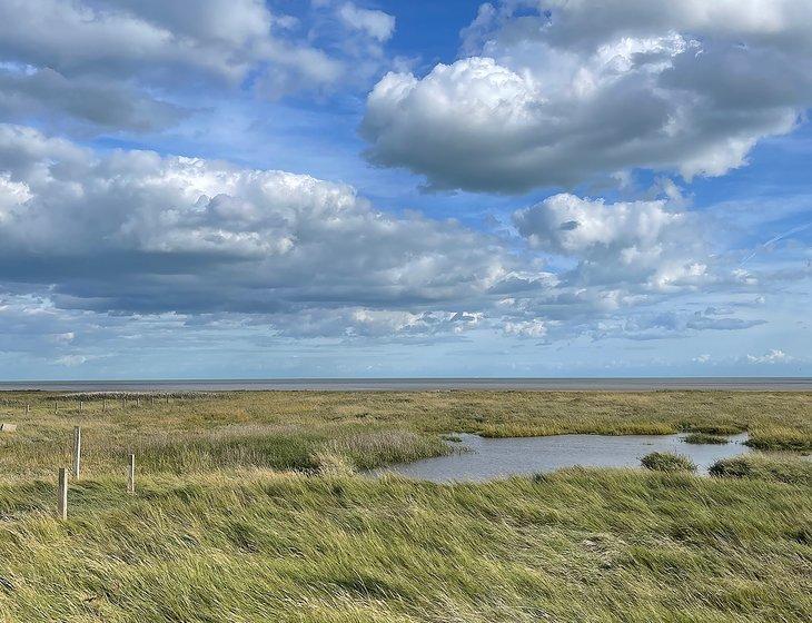 Cliffsend, Ramsgate, South East England - Image 8