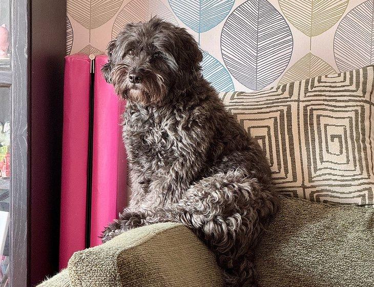 Northwich, North West England - Image 2