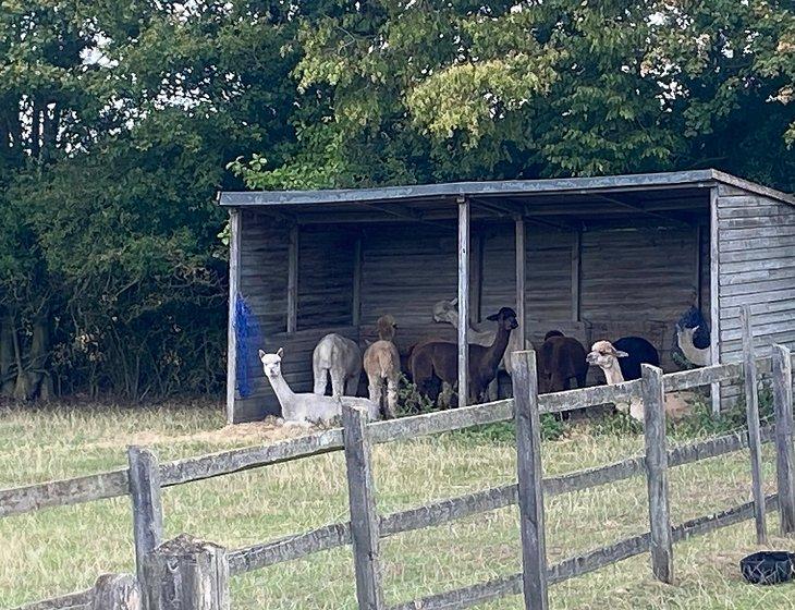 Leiston, East of England - Image 2