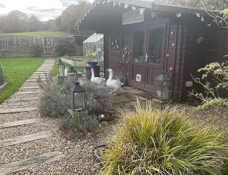 Heathfield, South East England - Image 4