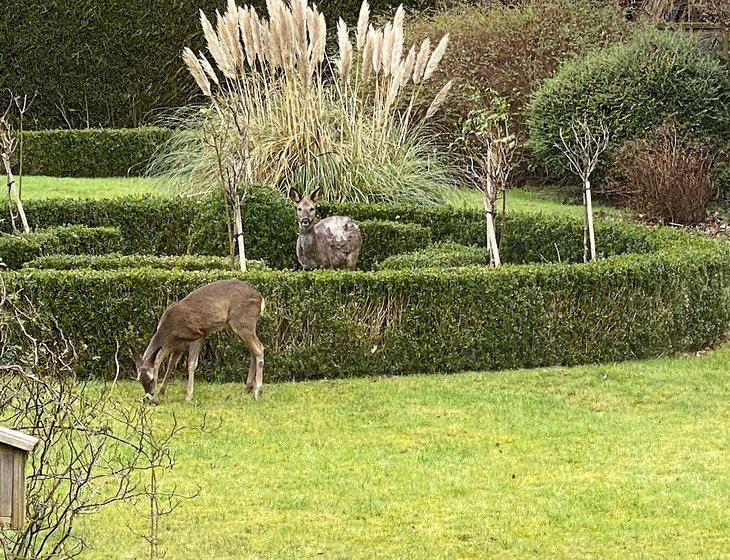 Weald Sevenoaks, South East England - Image 2