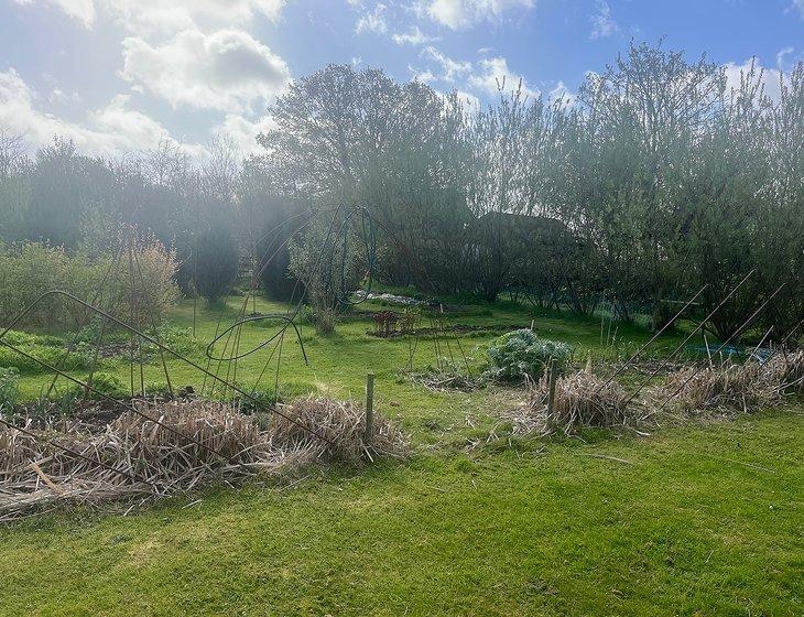 Beccles, East of England - Image 3