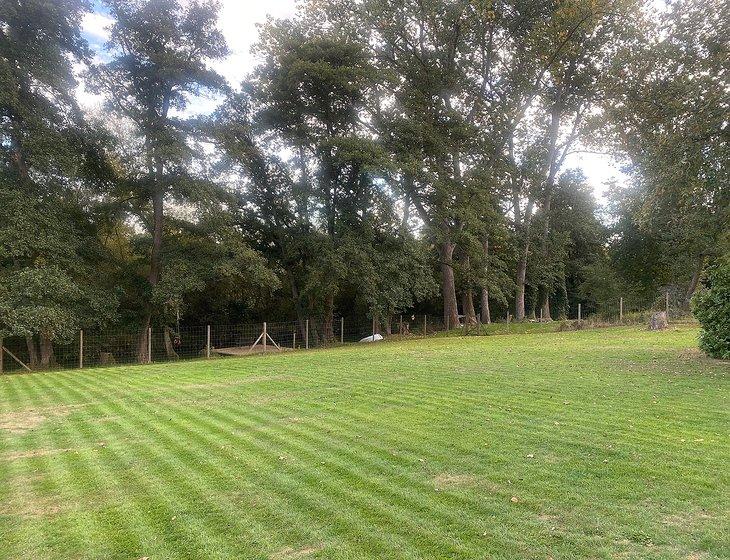 Bordon, South East England - Image 7