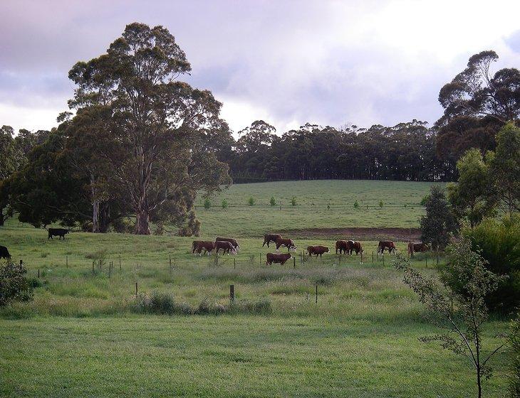 Exeter, New South Wales