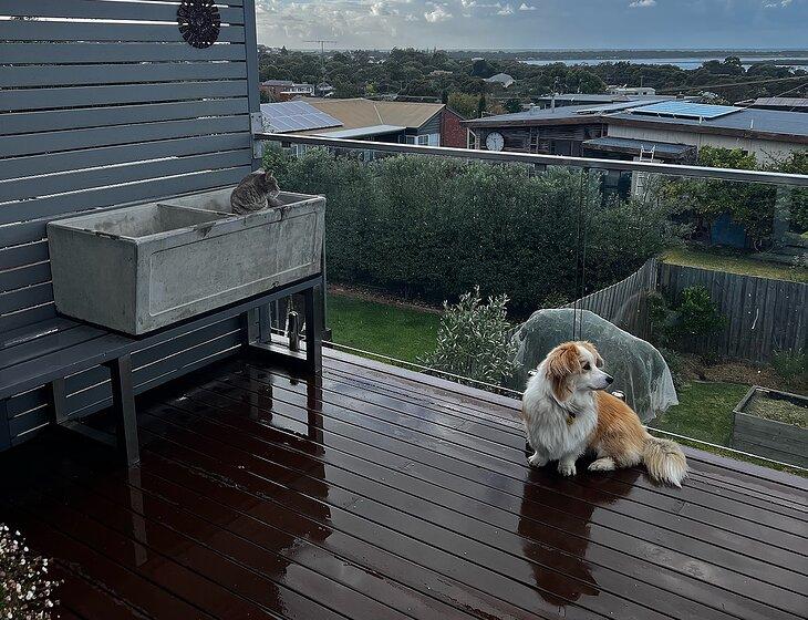 Ocean Grove (vic), Victoria