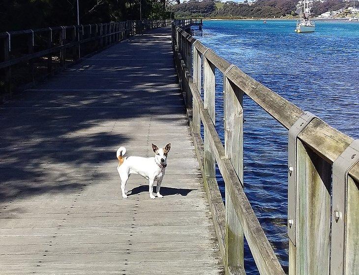 Narooma, New South Wales