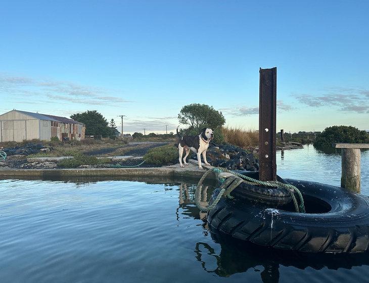 Port Albert, Victoria