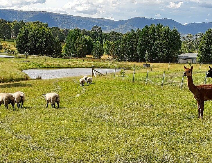 Little Hartley, New South Wales