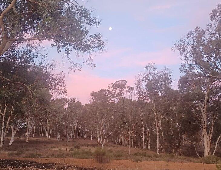 Hastings, Western Australia