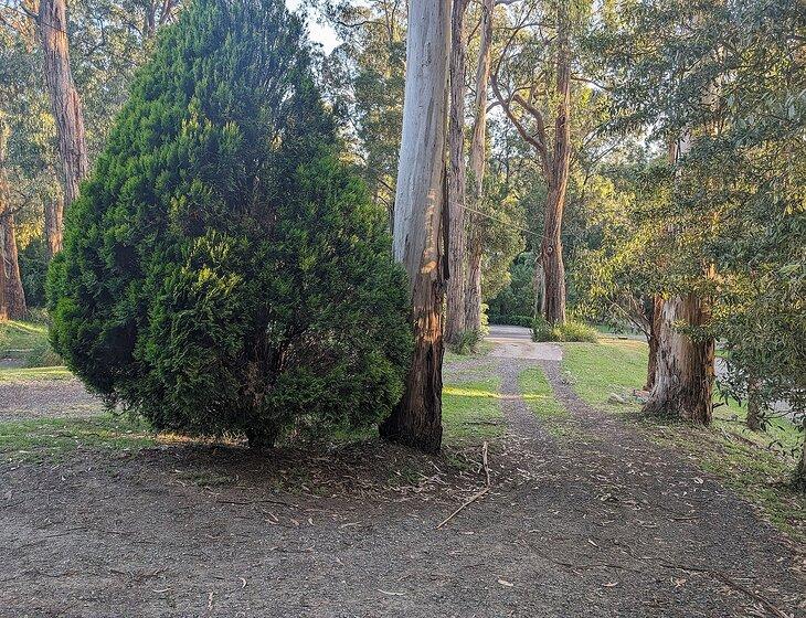 Belgrave, Victoria