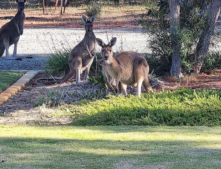 Stake Hill (mandurah), Western Australia