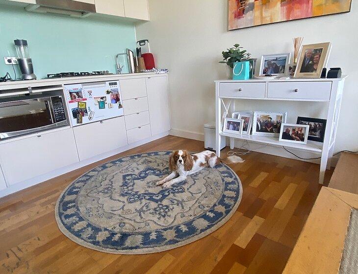 Edgecliff, New South Wales