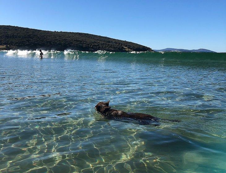 Lewisham, Tasmania