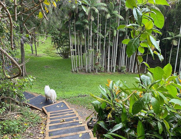 Currumbin Valley, Queensland