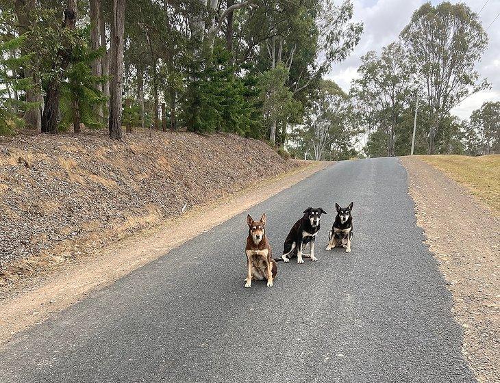 Gympie, Queensland