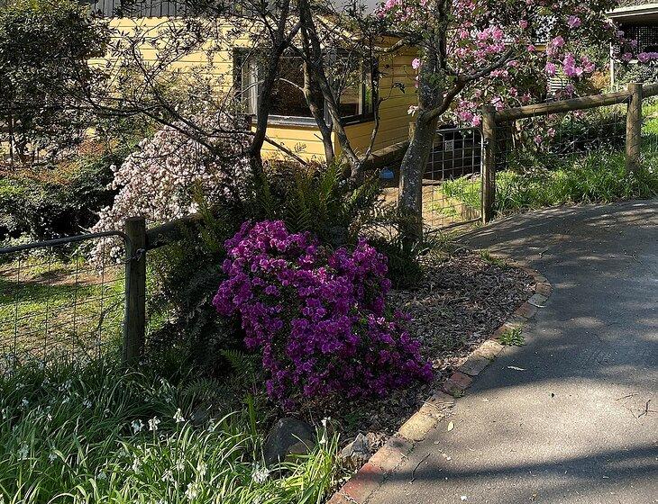 Mount Dandenong, Victoria