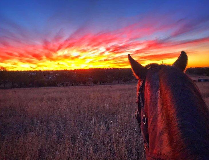 Meringandan West, Queensland