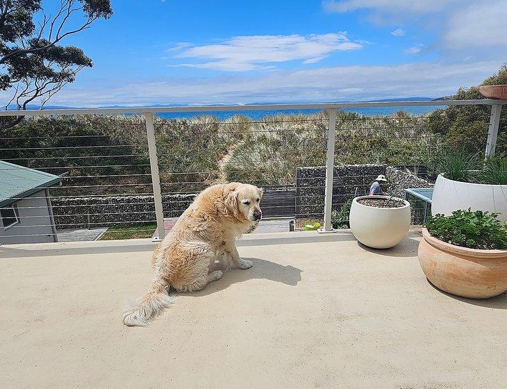 Lauderdale, Tasmania