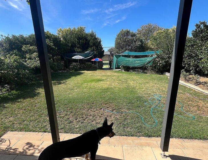 Erindale, South Australia