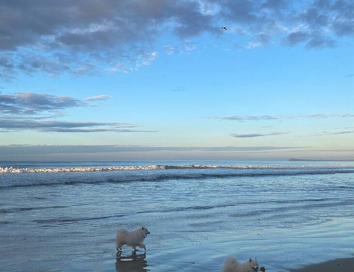 Ocean Grove, Victoria