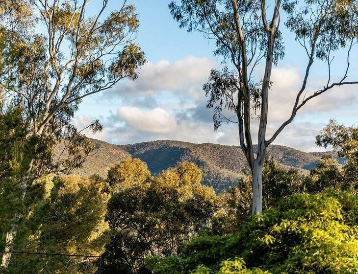 Highbury, South Australia - Image 3