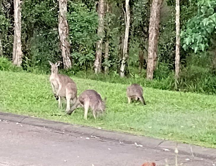 Hyland Park, New South Wales