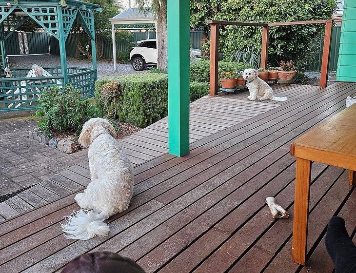 Normanville, South Australia - Image 2
