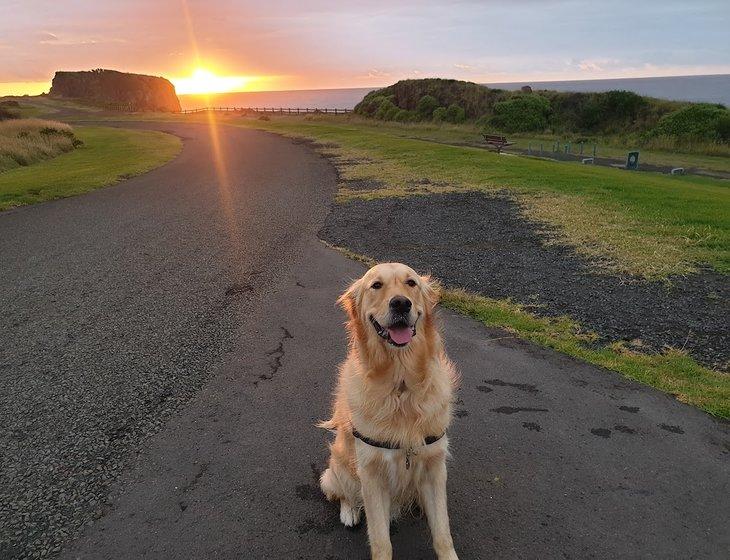 Kiama Downs, New South Wales