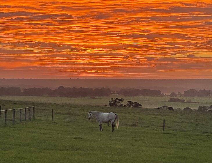 Orbost, Victoria