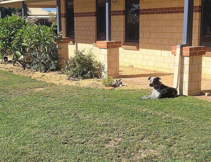 Leeman, Western Australia
