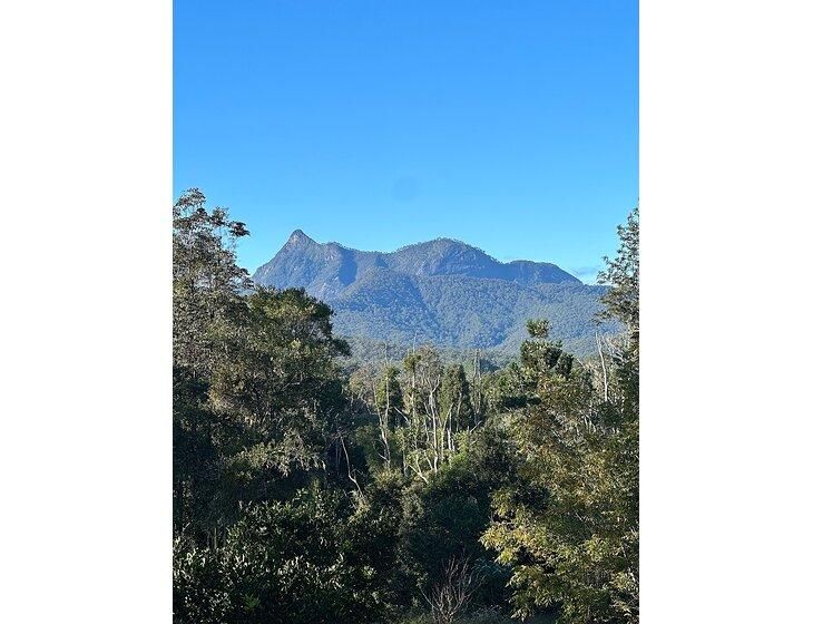 Limpinwood, New South Wales - Image 5