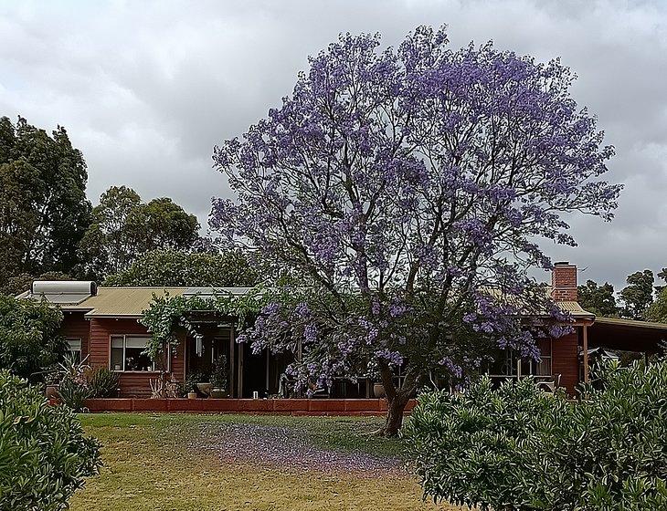 Ferguson, Western Australia