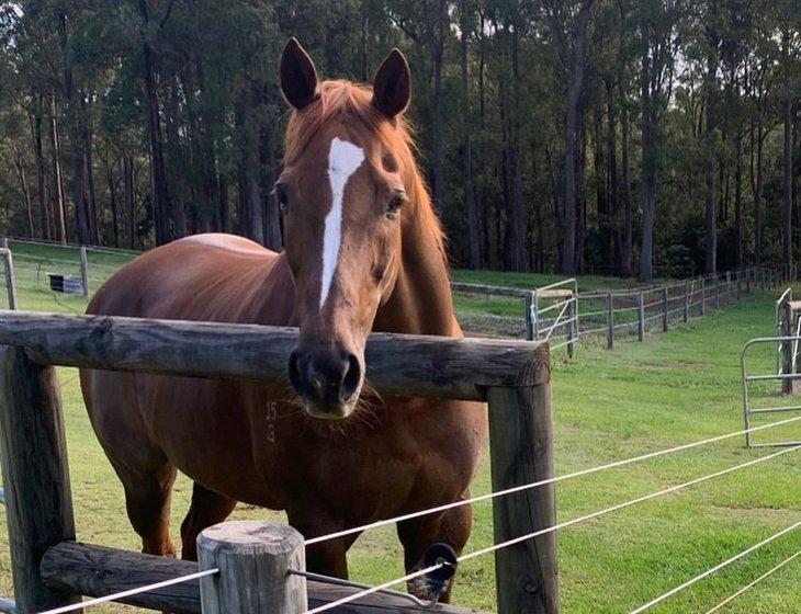 Boyland, Queensland