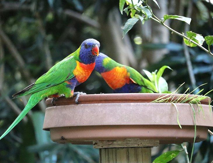 Beachmere, Queensland