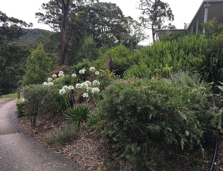 Tallebudgera, Queensland