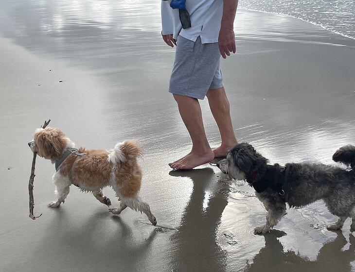 Inverloch, Victoria