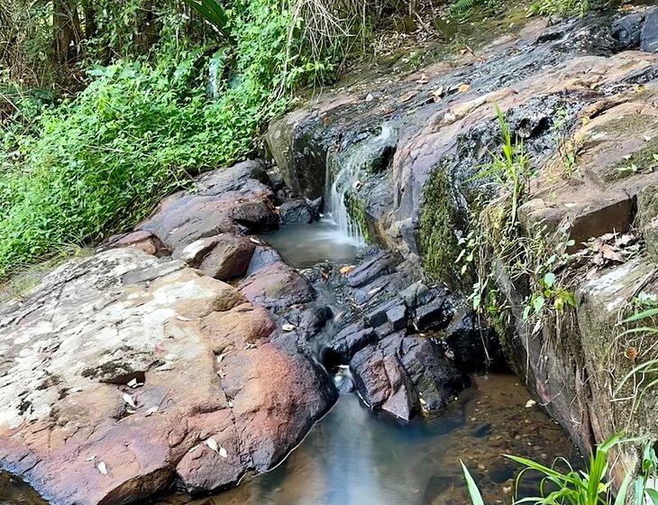 Limpinwood, New South Wales