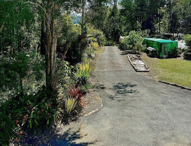 Stokers Siding, New South Wales - Image 5