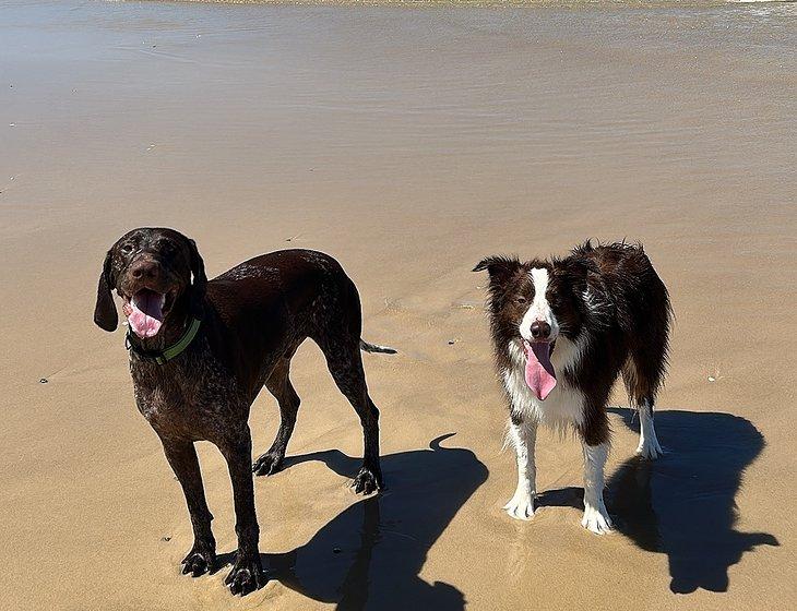 Coolum Beach, Queensland