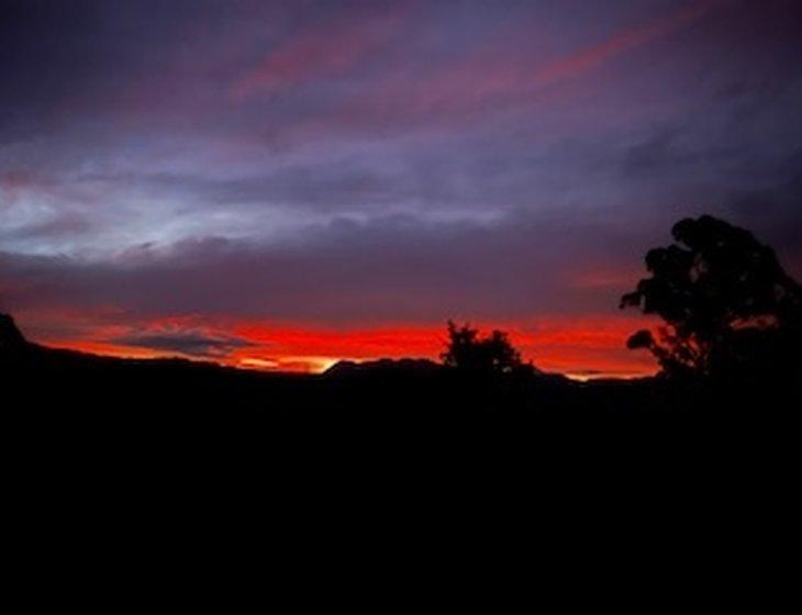 Bellingen, New South Wales