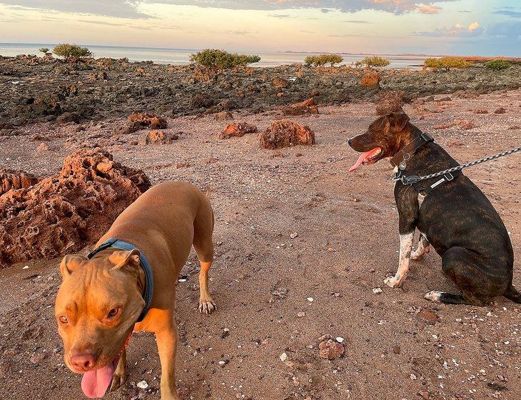 Karratha, Western Australia