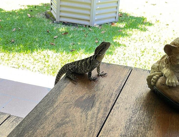 Redland Bay, Queensland - Image 2