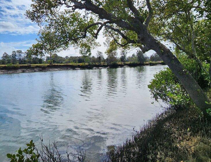 Beachmere, Queensland - Image 3