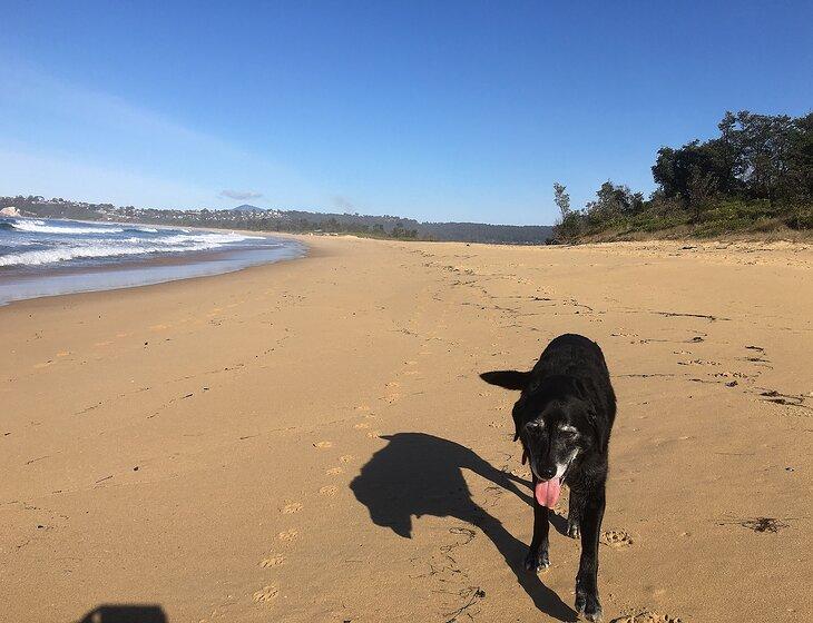 Eden, New South Wales