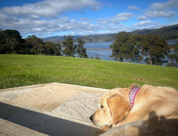 Cradoc, Tasmania