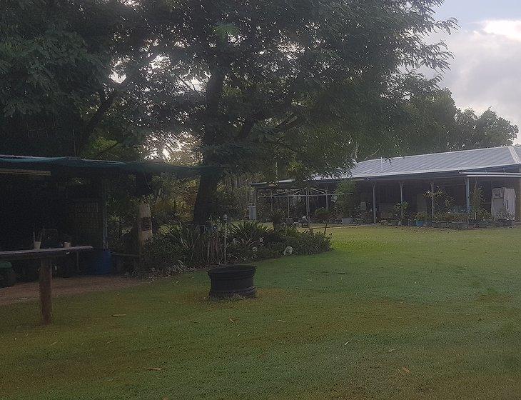 Pine Creek, Queensland