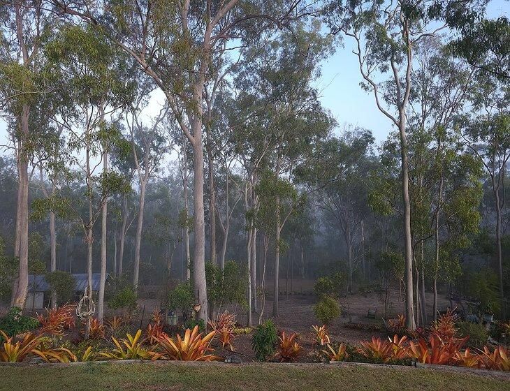 Sharon, Queensland - Image 4